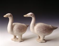 Tang dynasty pottery geese