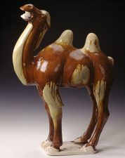 Sancai glazed Tang dynasty camel